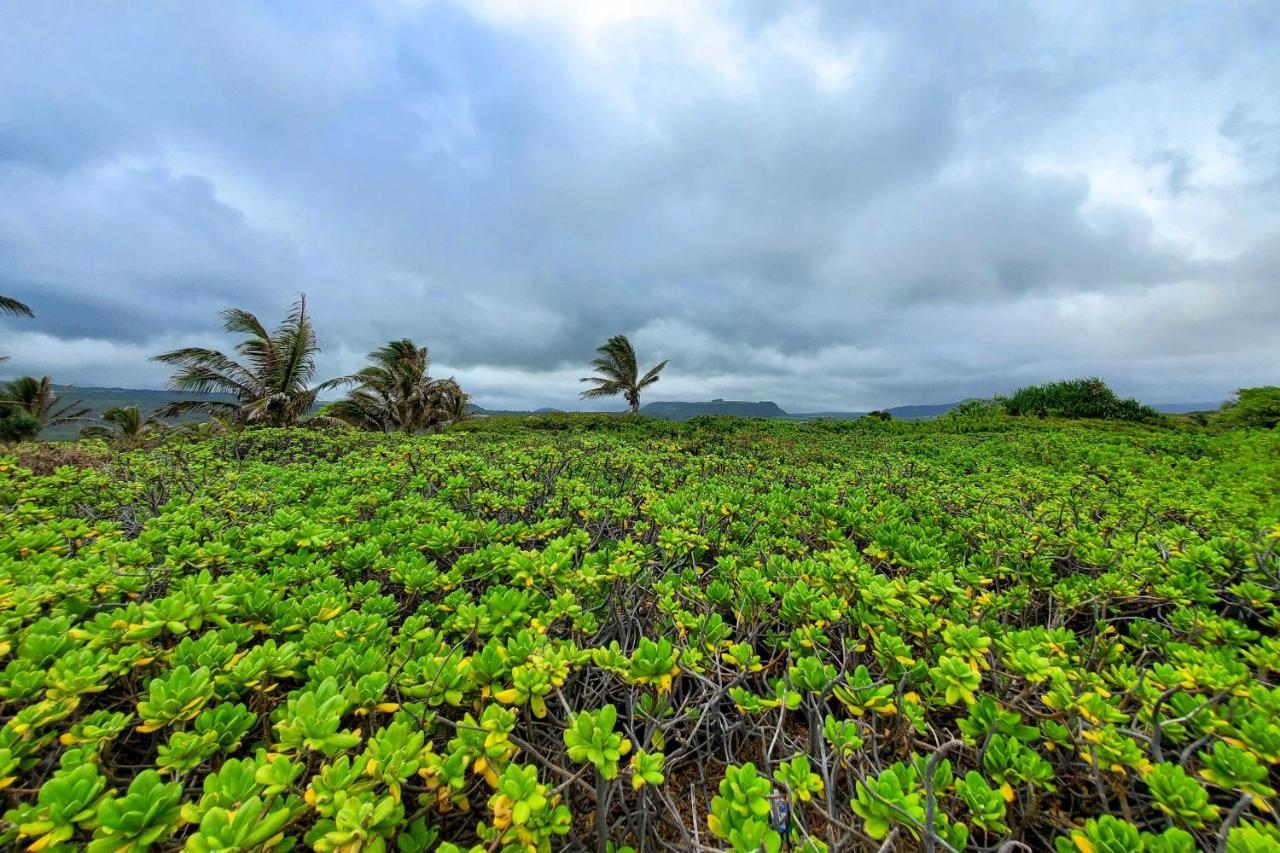 The Aloha Green House Retreat With Ocean Views! 날레후 외부 사진