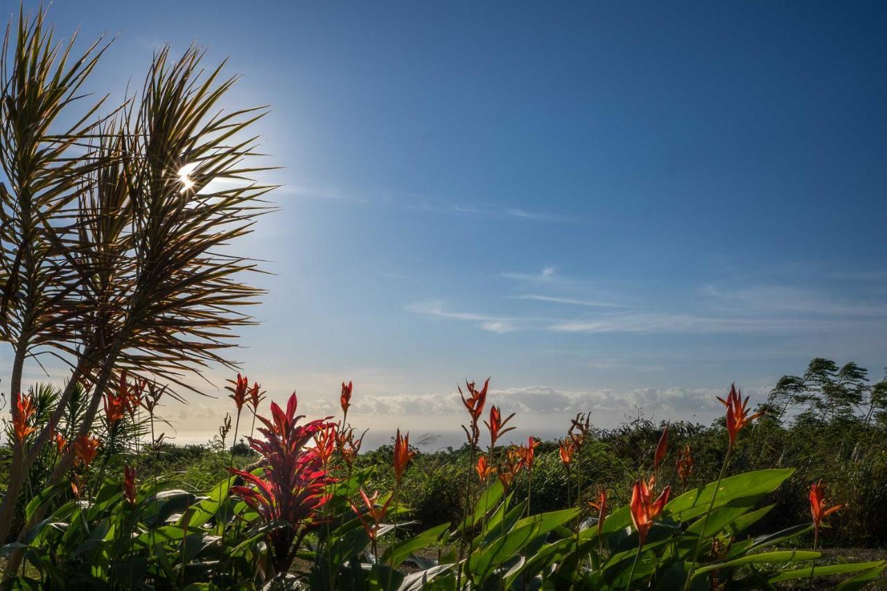 The Aloha Green House Retreat With Ocean Views! 날레후 외부 사진